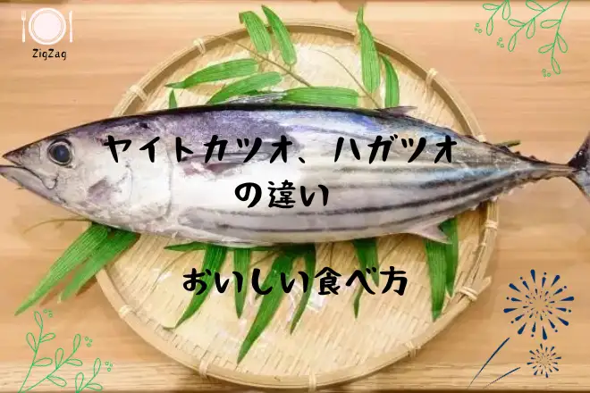ヤイトカツオ、ハガツオとは?違いと美味しい食べ方 - zigzag_blog