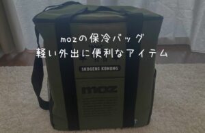 mozの保冷バッグ！雑誌付録の保冷力はつよいのか！？