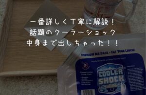 LOGOSとガチンコ比較!クーラーショックの保冷力をレビュー