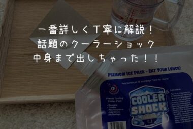 なぜ人気か知ってる？話題のクーラーショックの保冷力をレビュー