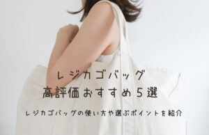 レジカゴバッグで保冷＆詰め替え時間の節約！おすすめアイテム総まとめ