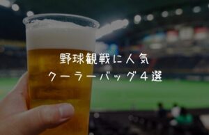 野球観戦！甲子園に持っていくクーラーボックス＆バッグ