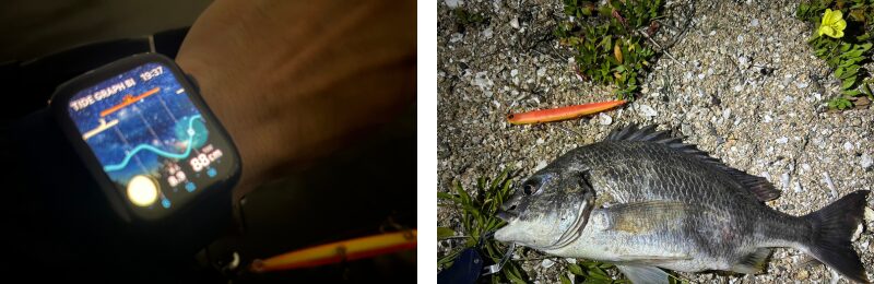 タイドグラフの活用して得た釣果