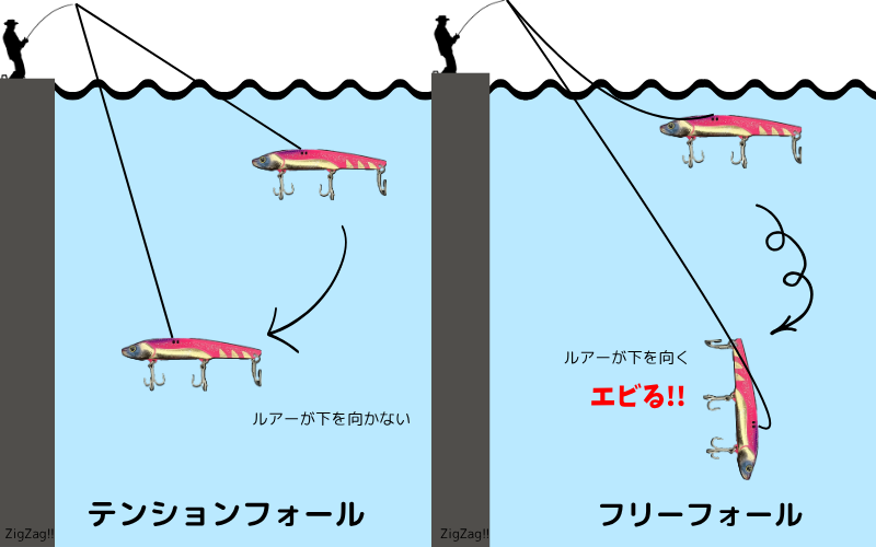 エビらないコツ_フォール