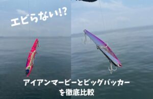 【エビらない!?】アイアンマービーvsビッグバッカー使いやすいのは?