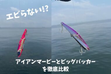 【エビらない!?】アイアンマービーvsビッグバッカー使いやすいのは？