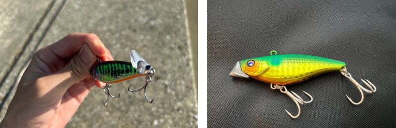 ジナリ、ツクモ特徴比較