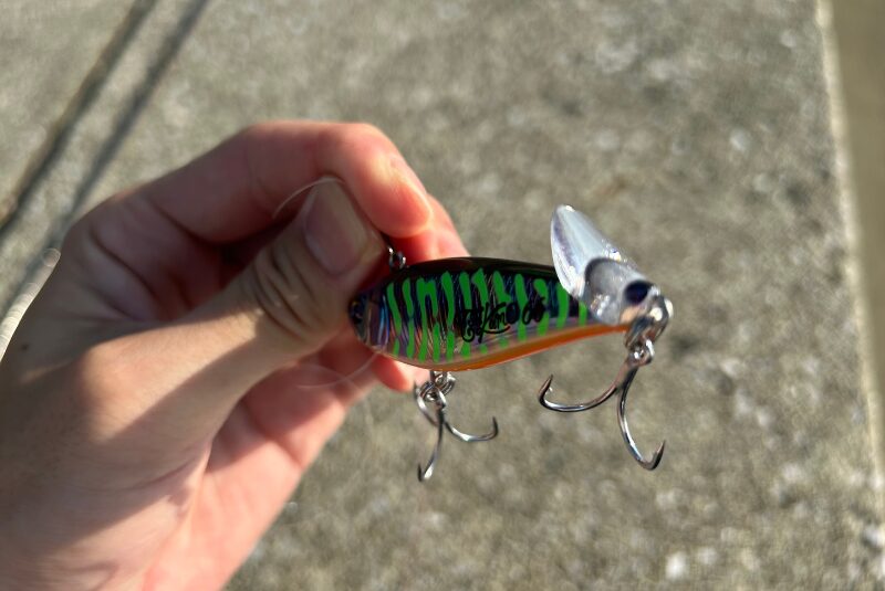 ツクモ-アッパーリップ