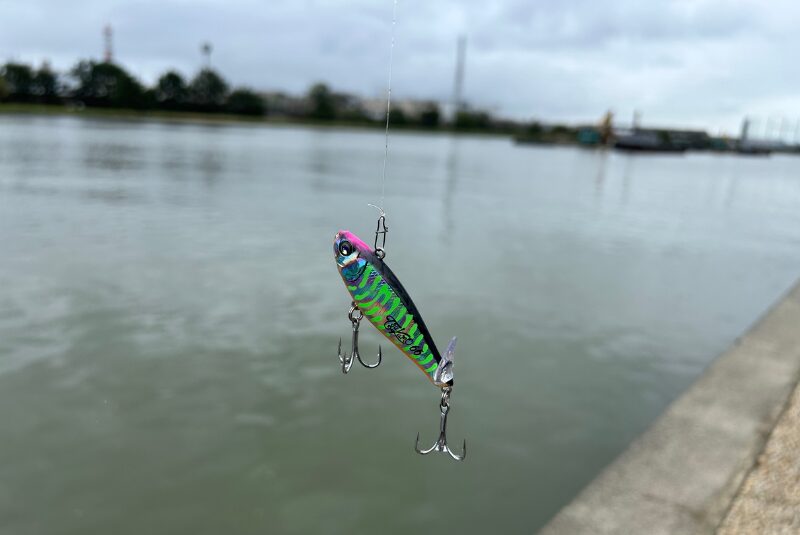 武庫川河口シャロー