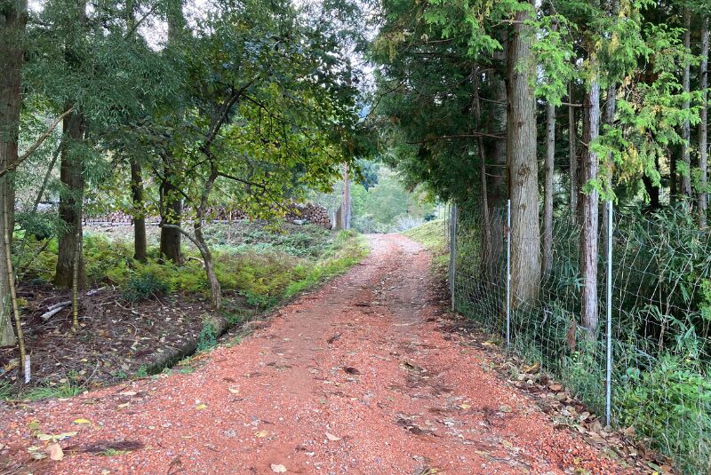 TASTE-HOUSE-ZEN-到着