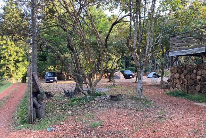 ウッドチップエリア1 TASTE HOUSE ZEN