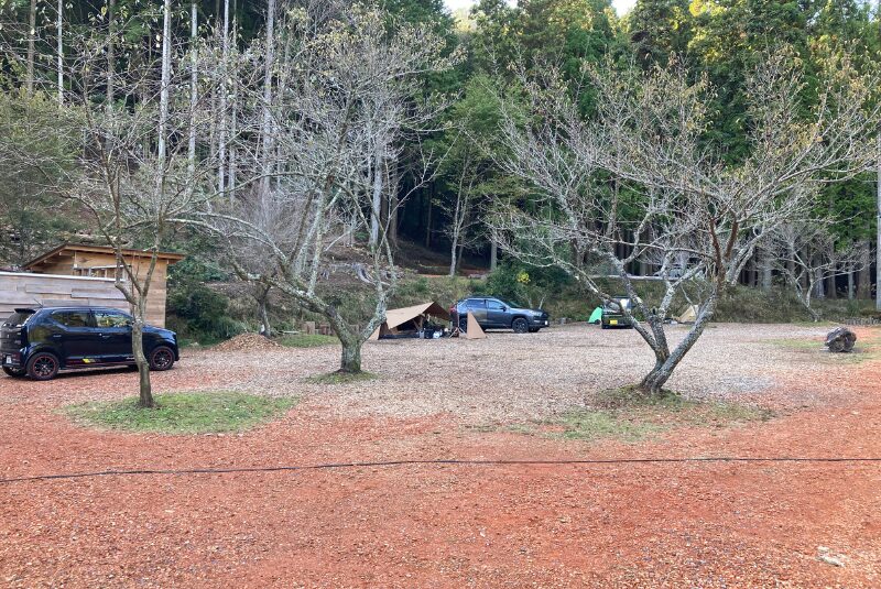 ウッドチップエリア２-TASTE-HOUSE-ZEN