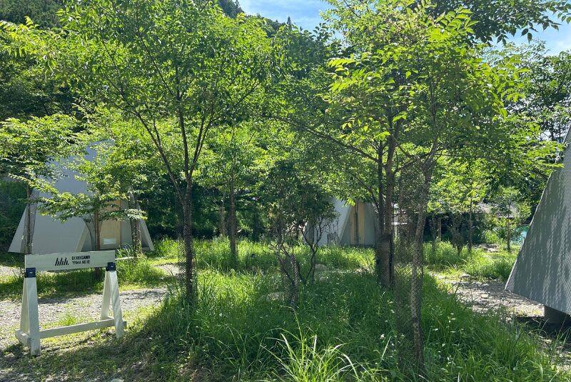 山の家-キャビンサイト