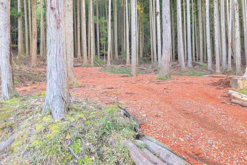 林サイト-TASETE-HOUSE-ZEN