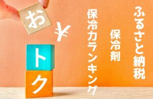 【予算5000円~】ふるさと納税にある保冷剤の保冷力ランキング