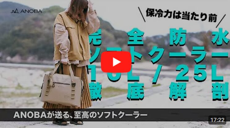 ANOVAブリザード