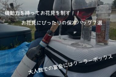 お花見-クーラーボックス＆保冷バッグ