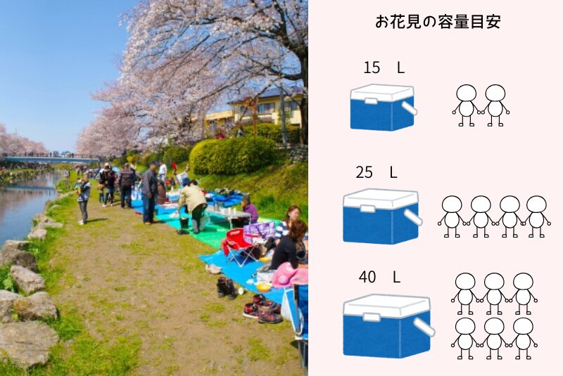 花見人数とクーラーボックス容量
