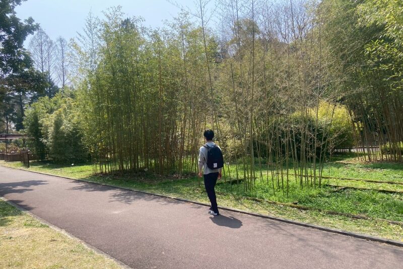 サーモス-保冷リュック-男性と公園