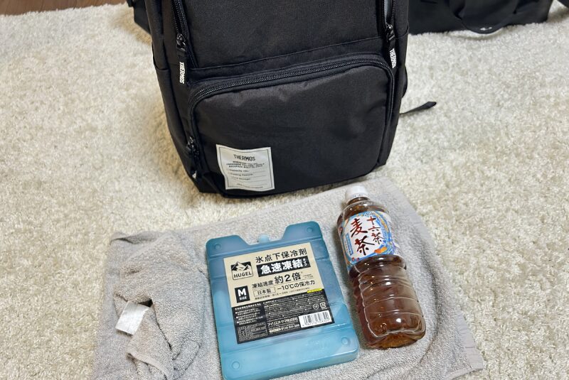 サーモス保冷バック-パック-保冷剤と冷えたお茶