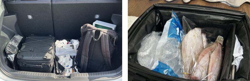 ソフトくらひこ-旅行帰り2