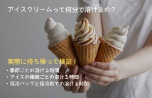 アイスが溶ける時間は10分？夏の持ち帰り時間を実際に検証