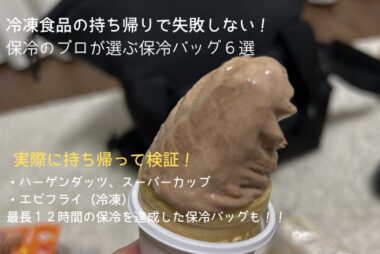 冷凍食品の保冷に適した保冷バッグ６選